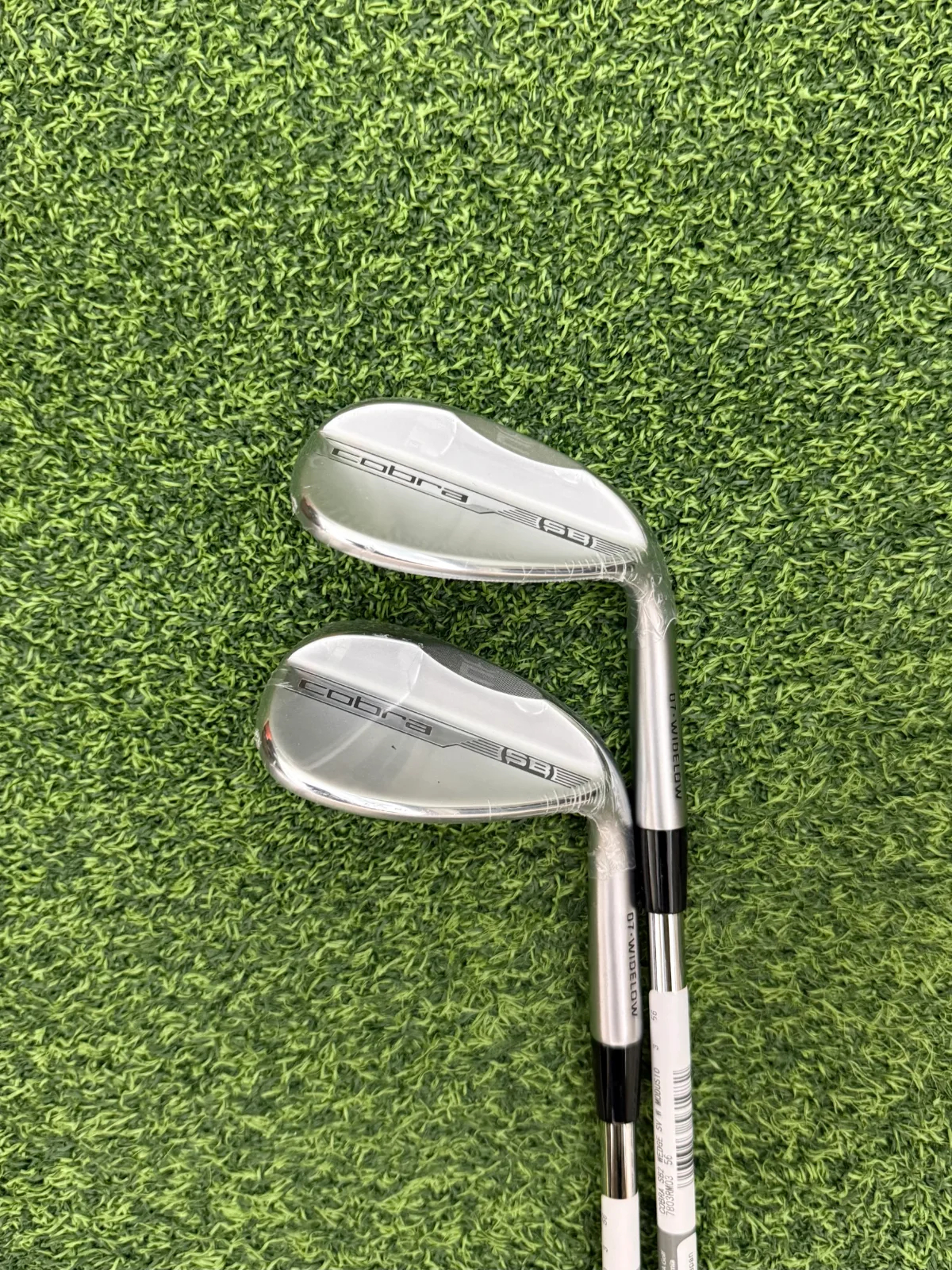 Cobra Snakebite